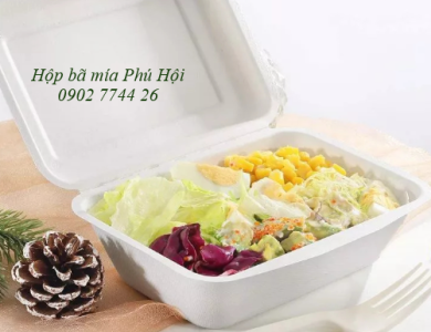Hộp bã mía 1 ngăn nắp liền 600ml 